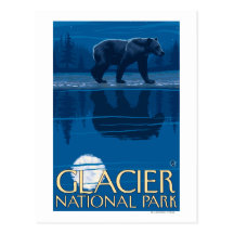Bear in Moonlight - Glacier National Park, MT Post Cards