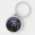 bear key chain