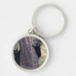 bear key chains