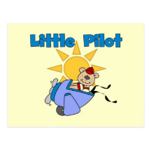 Bear Little Pilot T-shirts and Gifts Postcard