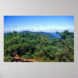 Bear Mountain Pitch Pines Posters