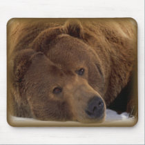 bear_mousepad mousepads