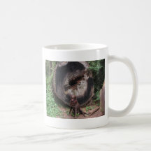Bear Mugs