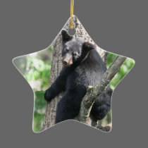 bear  ornament ornaments