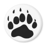 Bear Paw Print magnets