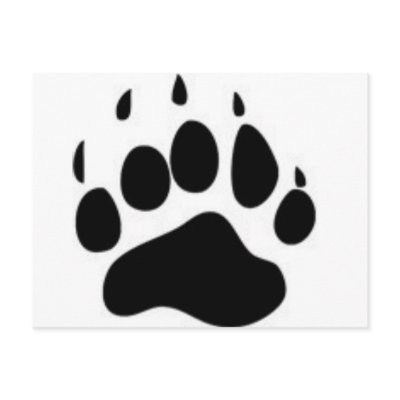 Bear Paw Print Postcards by rogerme