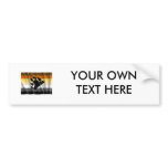 BEAR PRIDE FLAG FLYING bumper stickers