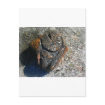 bear rock_Painting_bak Post Cards
