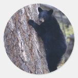 bear round sticker