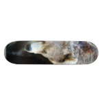 Bear Skateboard