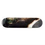 Bear Sniffing The Air In Wild Skate Board Deck