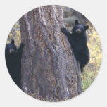 bear stickers
