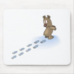 Bear Tracks