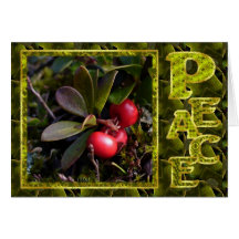 Bearberry Christmas, Unalaska Alaska Cards