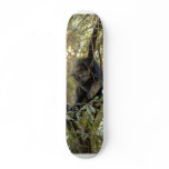 Bearcat 007 skateboard decks