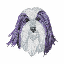 Bearded Collie