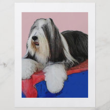 Bearded collie flyers