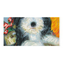 Bearded Collie Custom Photo Card