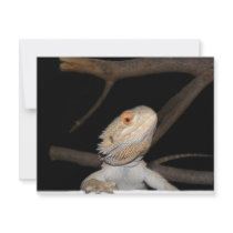 Bearded dragon 2 personalized invitations