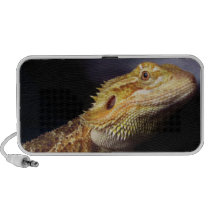 Bearded Dragon Head 2 Iphone Speakers
