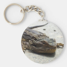 Bearded Dragon Keyring Keychains