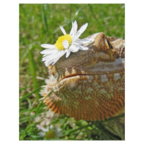 Bearded dragon letterhead template