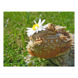 Bearded dragon personalized invite