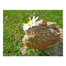 Bearded dragon personalized invite