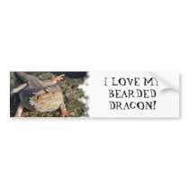 Bearded Dragon Series