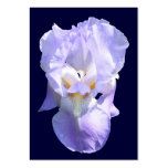 Bearded Iris ~ ATC card Business Card Templates