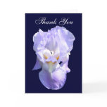 Bearded Iris ~ card
