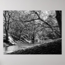 Beargrass Creek (Black & White Photo Print)