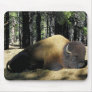 Bearizona Bison Mouse Pad