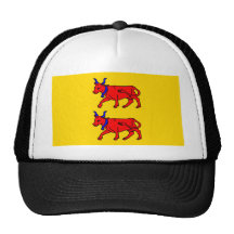 Bearn, France flag Mesh Hats