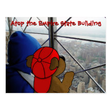 'Bear's Dizzying View' NY Postcard