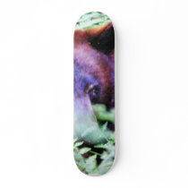Bears Ferns Custom Skate Board