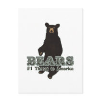 Bears