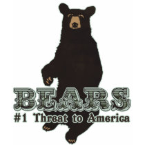 Bears