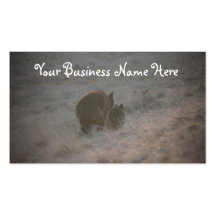 Bears Walking at Sunset; Promotional Business Card