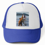Bearsharktopus Hat