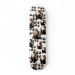 Bearspider Hoard SkateBoard