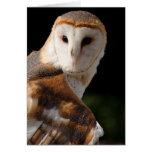 Beau carte pour notes de hibou de grange