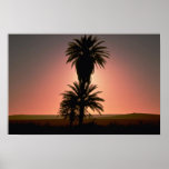 Beau coucher du soleil : Désert du Sahara, Algérie Posters