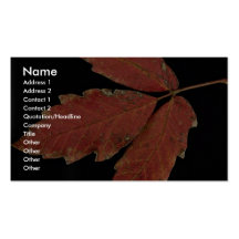 Beau feuille de lierre de poison cartes de visite personnelles