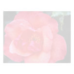 Beau Floribunda En-tête De Lettre Customisée