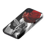 Beau rose rouge avec l'arrière - plan noir et blan coques iPhone 4 Case-Mate