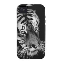 Beau tigre en noir et blanc coque iPhone 4/4S