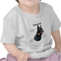 Beauceron History Design