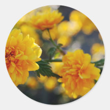 Beauté de fleurs - édition simple autocollants