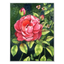 Beauté de jardin - copie florale d'art photographie